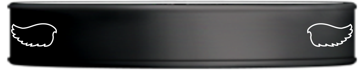 Black and White Wings